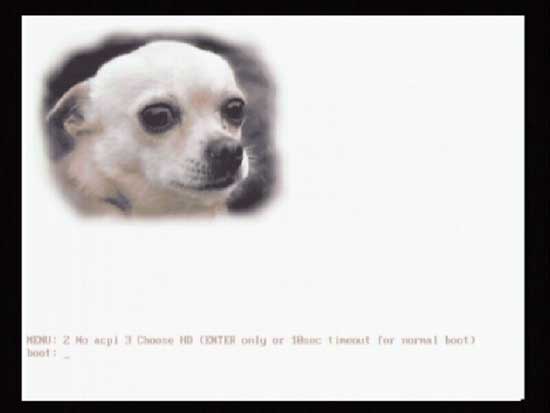 Splash Screen